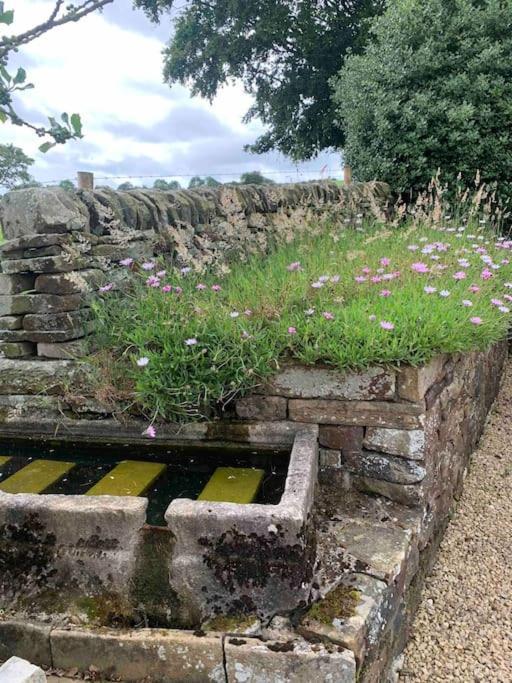 Ivy House Longnor (Staffordshire) Exterior foto